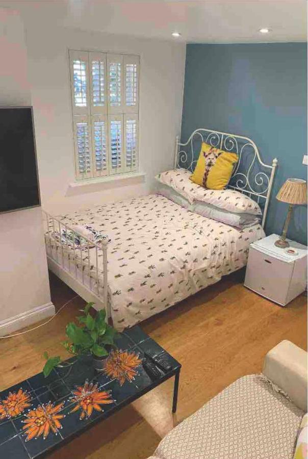 Stylish Modern Studio, Mock Georgian House, Heart Of Trendy Hackney & London Kültér fotó